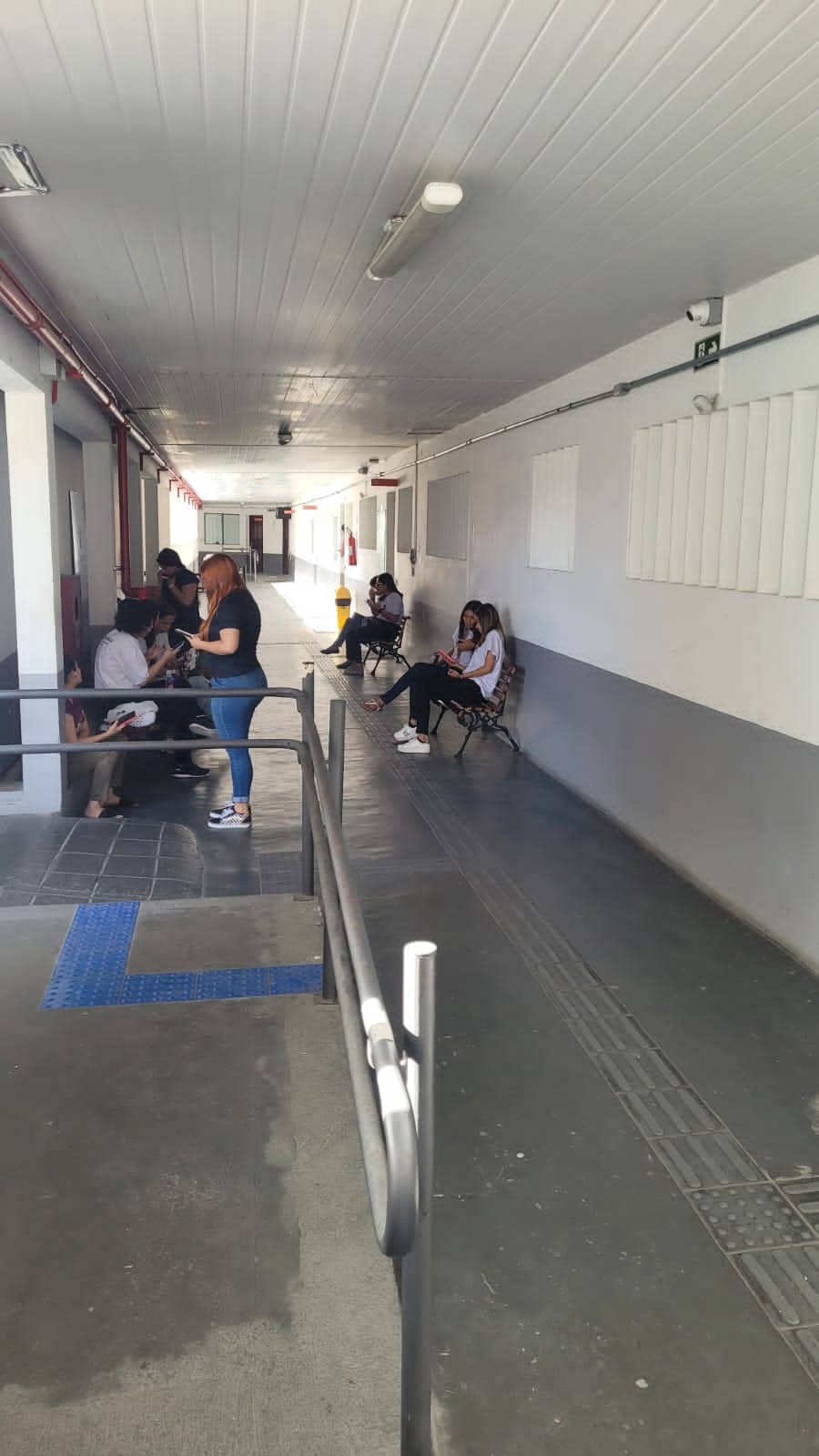 comprimidas fortaleza (5)